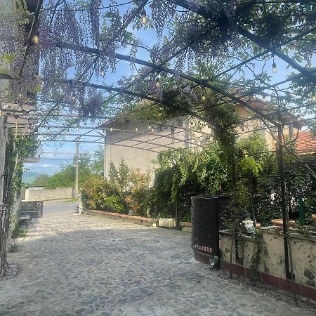 Luxury House Teodora Deva Exterior photo