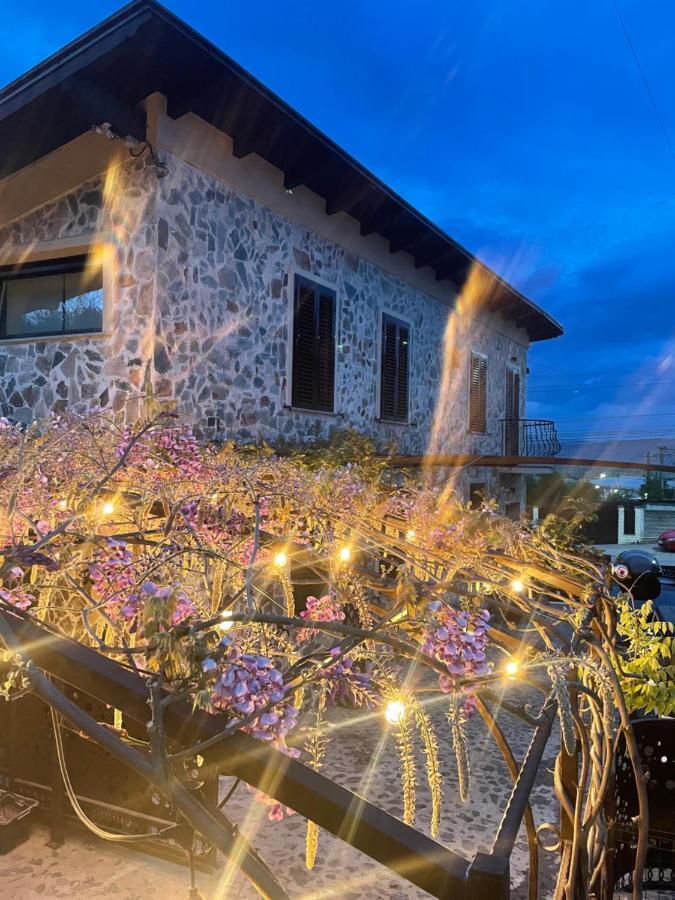 Luxury House Teodora Deva Exterior photo