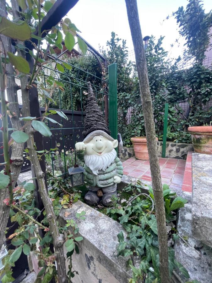 Luxury House Teodora Deva Exterior photo