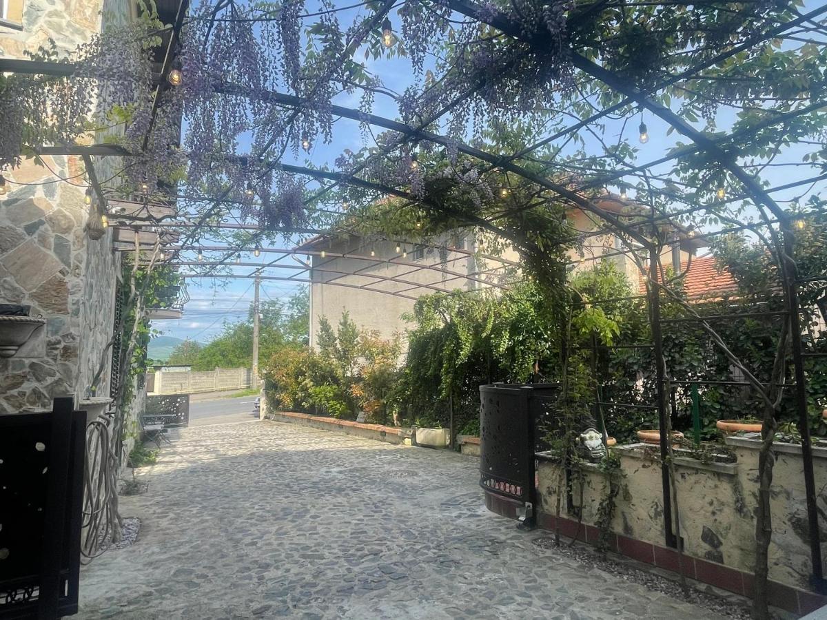 Luxury House Teodora Deva Exterior photo